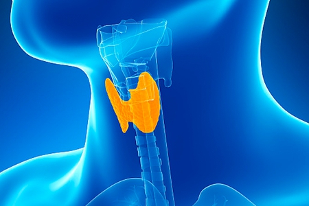 甲状腺癌真的像人们想的那么友善吗？不，它已位居癌症前位！