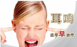 北京哪个医院看耳鸣比较好
