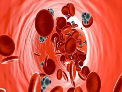 高血脂有哪些表现？血脂多高算高血脂？