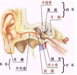 北京中耳炎医院哪家好