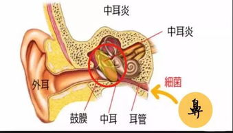 北京那家医院看耳科好