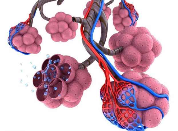 肺气肿的发病机制是什么?得了肺气肿能活多久呢？肺气肿的治疗方法：