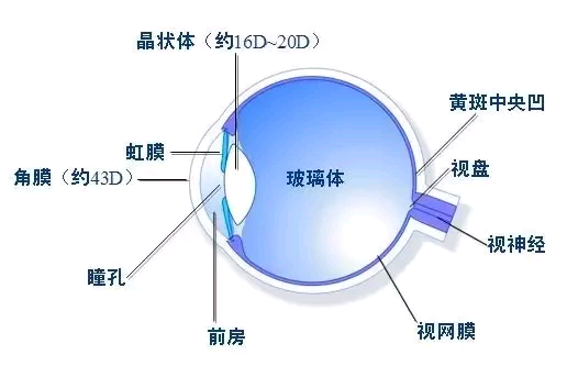 ICL植入术：矫治中高度近视的靠谱技术