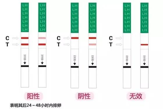 排卵试纸怎么用？看这一篇就够了！