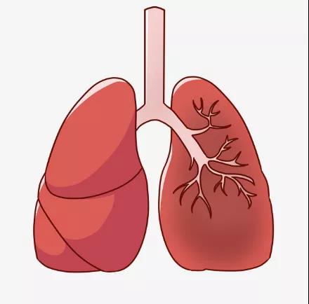 一字之差，肺纤维灶与肺纤维化有区别，一个可不治一个难治
