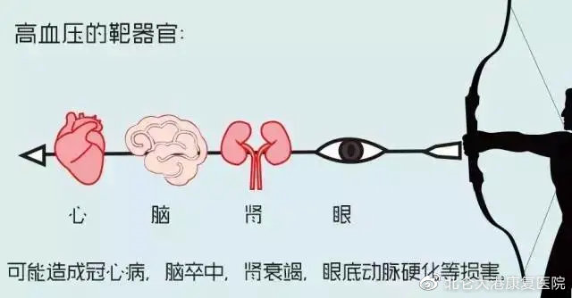 认识一下“四高”之一高血压病