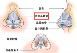 看鼻子北京哪家医院好