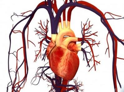 什么是心肌缺血？心肌缺血后会出现哪些异常？