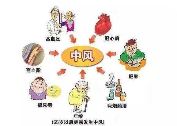 科普|中风疾病高发？劝告：日常做好这4个预防很有必要，建议收藏