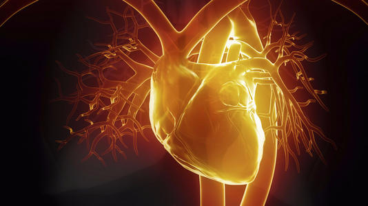 心肌缺血严不严重？心肌缺血应该如何判断？