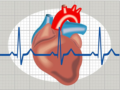 心律不齐的症状有哪些？一个小方帮你预防心律不齐
