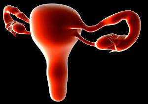 防止卵巢早衰应该吃哪些食物呢?哪些食物对身体好?