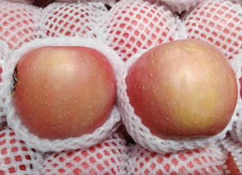 生活中如何预防痤疮?治疗痤疮有哪些误区?