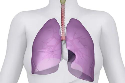 【疑问解答】导致人们肺大泡出现的原因是什么？