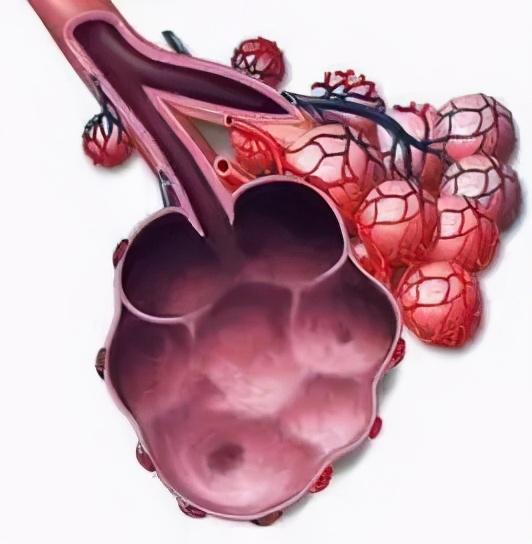 肺大泡是什么？危害大不大？