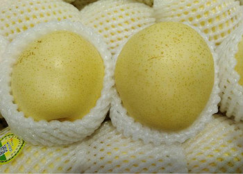 宝宝冬季有湿疹如何护理?饮食上注意什么呢?