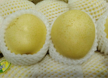 灰指甲是什么？如何做好灰指甲的预防和治疗