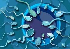 男性精子畸形检查？
