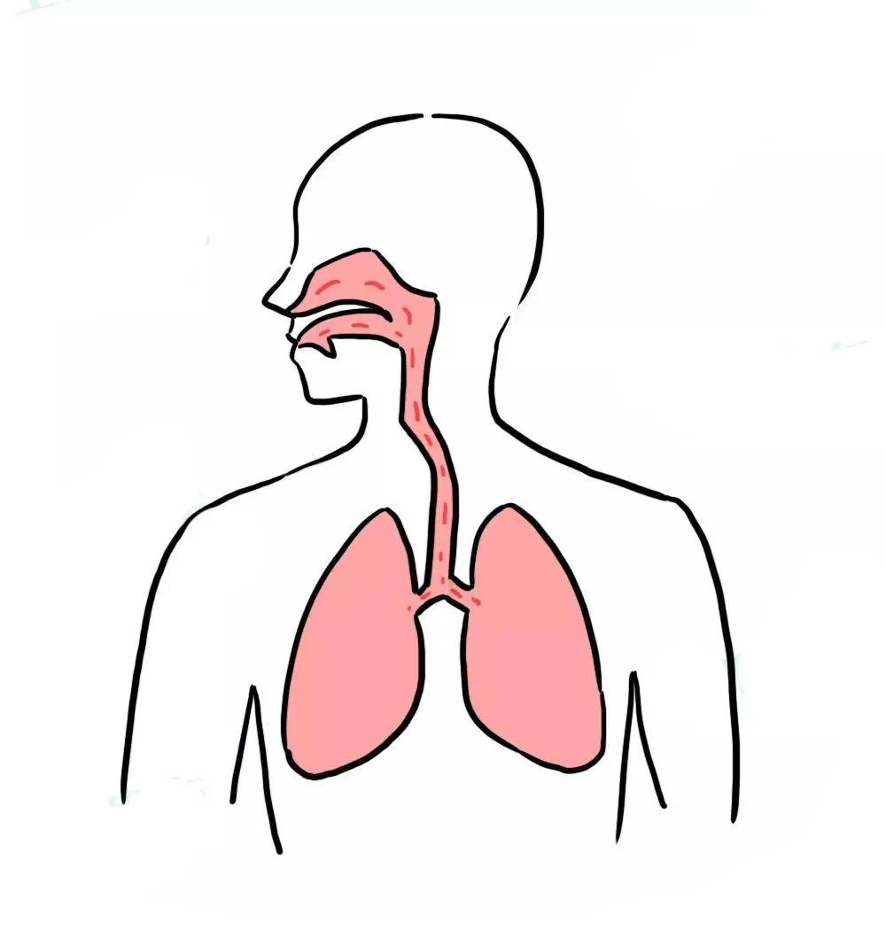 为什么哮喘反复发作会造成肺气肿？