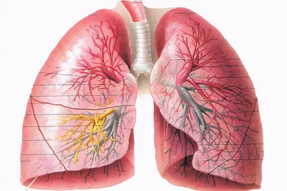 慢阻肺的鉴别诊断都有哪些呢？