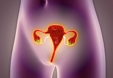 哪些行为容易影响卵巢健康？如何治疗卵巢性不孕？