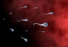 少跟精子少有联系吗？