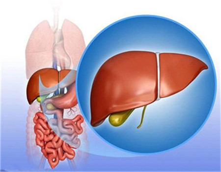 广安肝脏疼痛症状