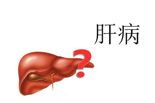 青羊区乙肝有哪些类型呢