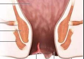 患上急性肛裂长期不治疗就会贫血？