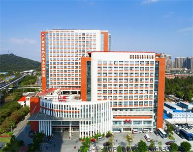廣州中醫藥大學金沙洲醫院國際腦科中心