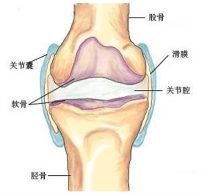 鲁业东医生讲解膝关节有积液是滑膜炎引起的吗