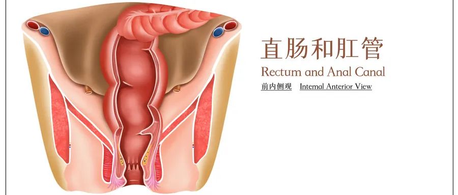 北京丰益肛肠医院