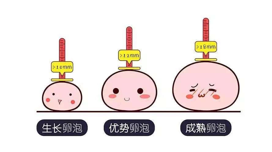 徐州为爱「鼓掌」前，做个排卵监测更放心？