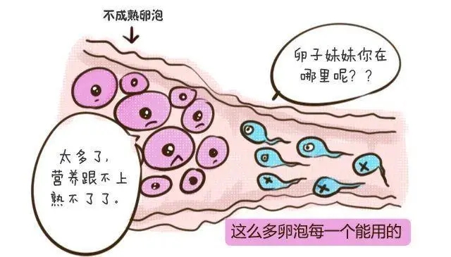 郑州不孕不育专科医院排名_郑州专业治不孕不育的医院?