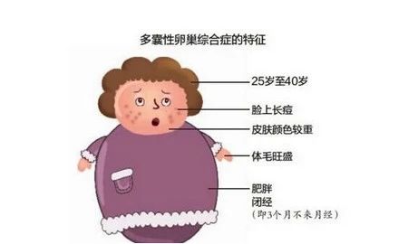 徐州九龙妇产医院：备孕进展不顺利？康康有哪些影响受孕的拦路虎