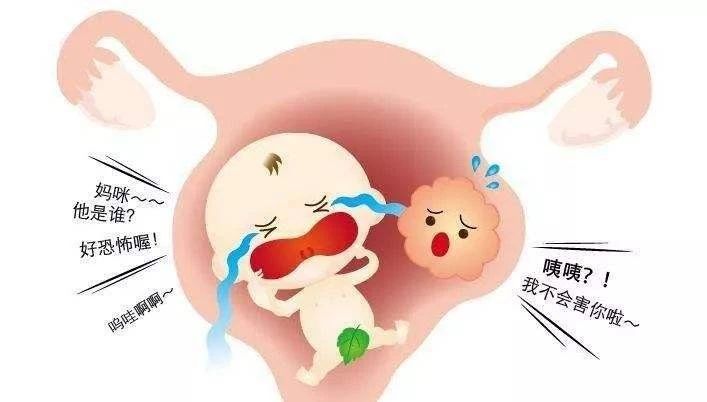 徐州九龙妇产医院：备孕进展不顺利？康康有哪些影响受孕的拦路虎