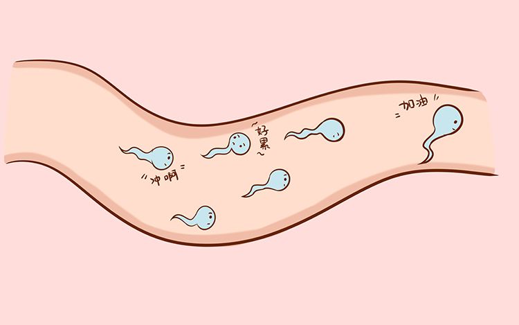 河南哪家医院治疗弱精少精怎么治疗