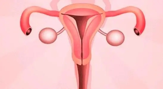河南不孕医院-排卵期遇到障碍的原因是哪些呢