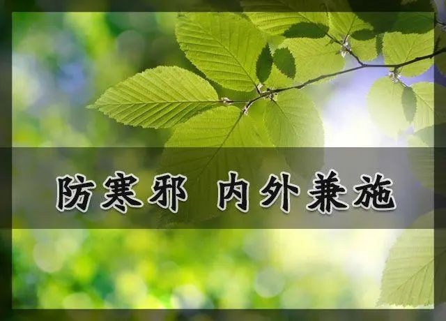阴盛阳虚人易病，中医温阳固本，驱寒散邪！