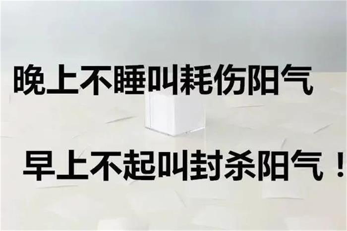 晚上不睡叫耗伤阳气，早上不起叫封杀阳气！（看懂这篇文章，身体就健康了）