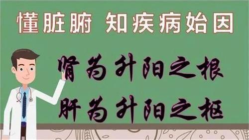 神疲乏力，夜尿多！男性阳痿早泄，女性宫寒痛经，原来都是因为它