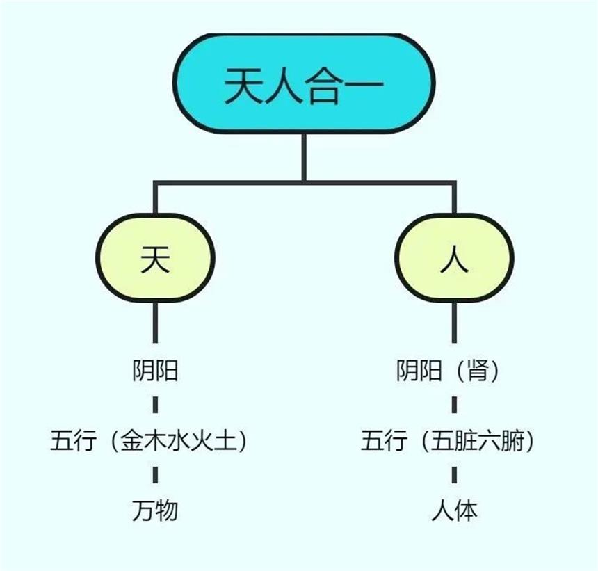 中医，从气、阴阳、物质、能量角度谈疾病！