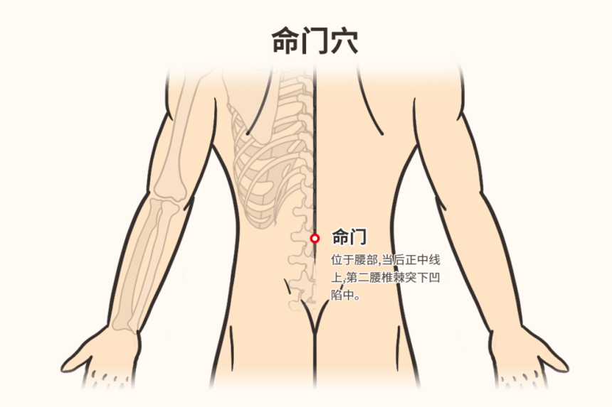 命门火衰，阳事不举、射得快怎么办？中医：关键在于温补肾阳！