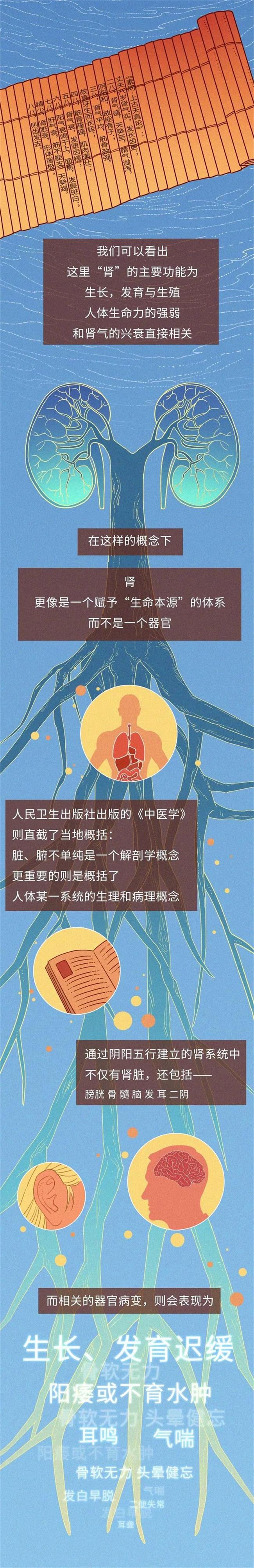 阳痿早泄、腰酸腿疼、发冷畏寒......肾虚究竟虚的是什么？