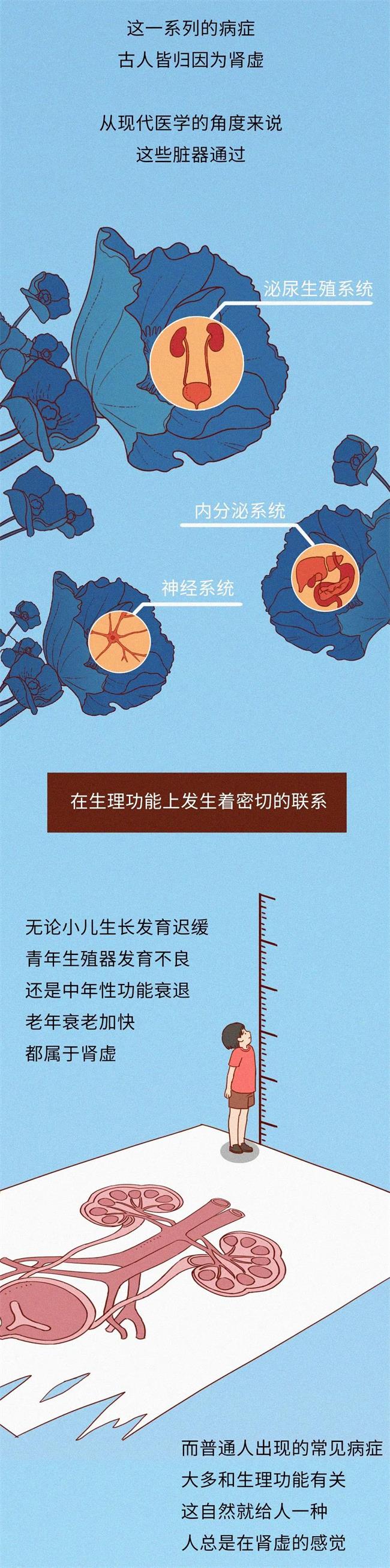 阳痿早泄、腰酸腿疼、发冷畏寒......肾虚究竟虚的是什么？