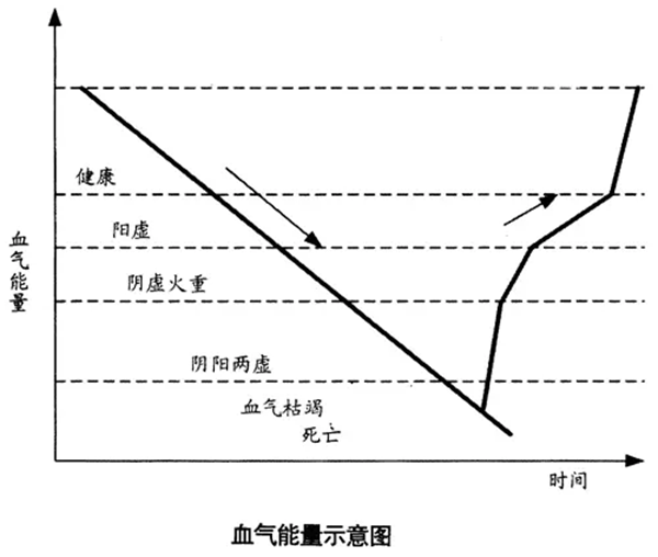 养生之根本：关于人体的血气能量系统