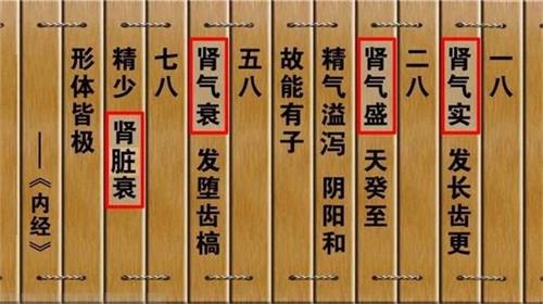 为什么“肾合胶囊”长期服用好？你真的理解“肾气足，百病除”吗？