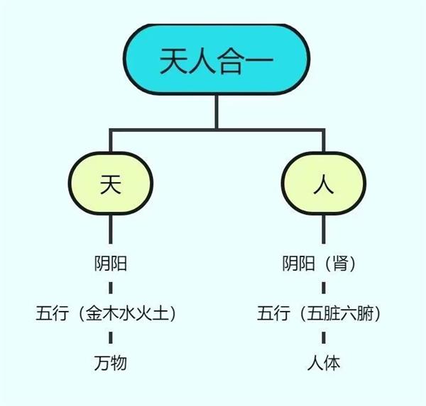 中医揭秘：阴阳学说养生之根本——万物负阴而抱阳！