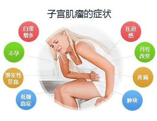 中药哪些能调理好女性子宫肌瘤？不妨来看看！