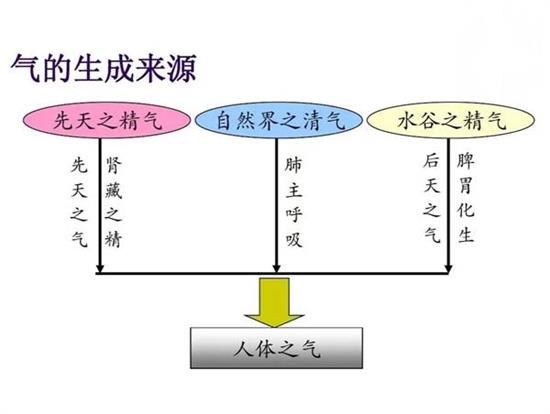 【中医养生篇】气为何物？气不足如何补气？一文带你读懂！